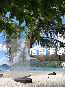 信用卡逾期發(fā)的短信是真的嗎？